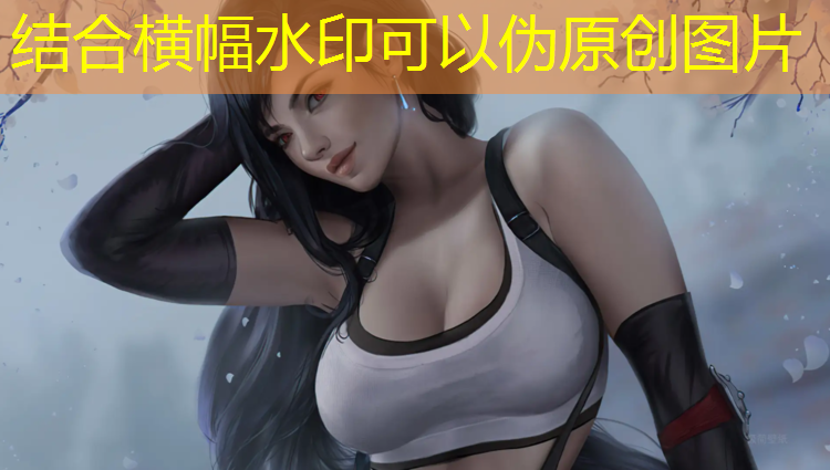 <strong>高达3d格斗电脑游戏</strong>