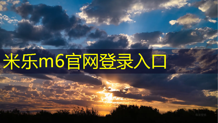 <strong>米乐为您介绍：学校塑胶跑道工程造价</strong>