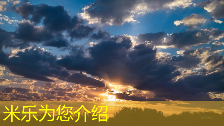 米乐m6官网登录入口：塑胶跑道道路