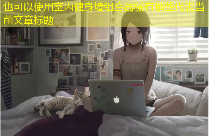 室内健身墙组合器械有哪些
