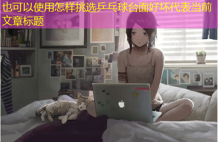 怎样挑选乒乓球台面好坏