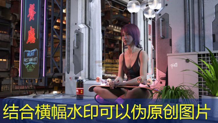 室内健身最好的运动器材